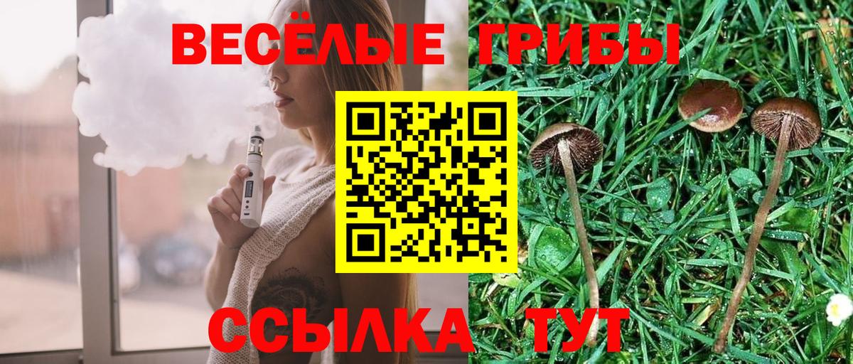 Полевской  Псилоцибиновые грибы MAGIC MUSHROOMS  Галлюциногенные грибы мицелий  Вход с VPN 